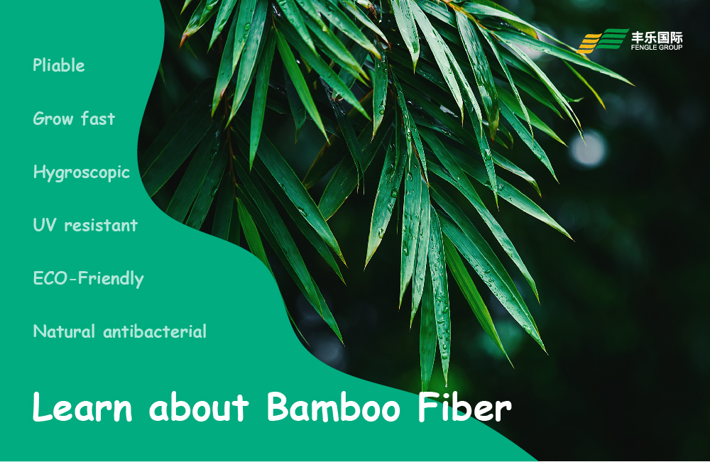 A comprehensive understanding of bamboo fiber Ⅰ FENGLE International